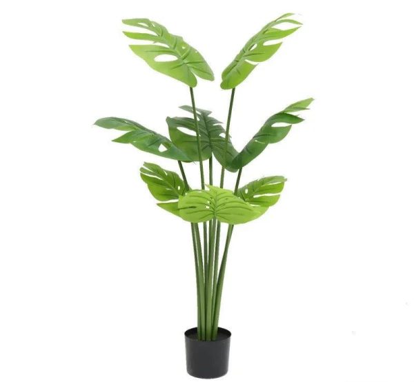 fausse plante intérieur amazonie