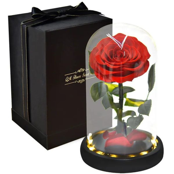 rose eternelle avec packaging