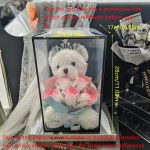 cadeau original peluche ourson