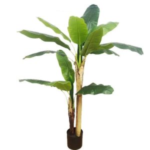 Fausse Plante Asie Intérieur
