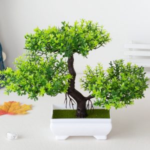 Fausse Plante Bonzai