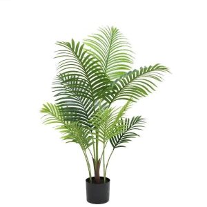 Fausse Plante Désert Intérieur