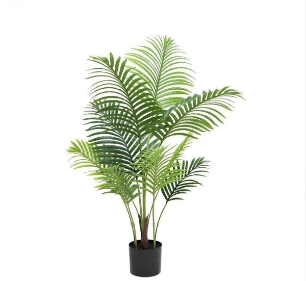 Fausse Plante Désert Intérieur