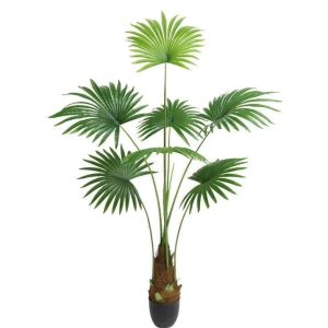 Fausse Plante Exotique Intérieur