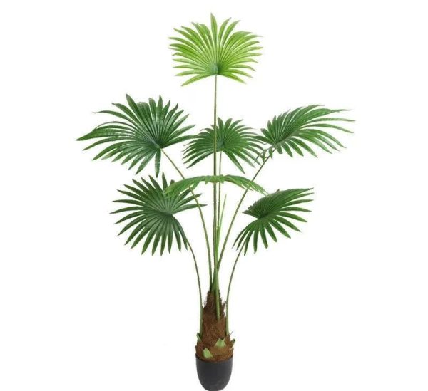 Fausse Plante Exotique Intérieur