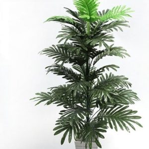 Fausse Plante Grande