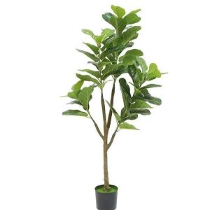 Fausse Plante Intérieur Arbre