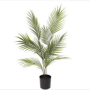 Fausse Plante Intérieur Désert