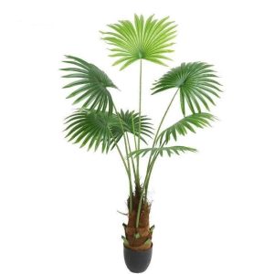 Fausse Plante Intérieur Jungle