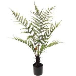 Fausse Plante Intérieur Sapin