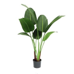 Fausse Plante Moderne Intérieur