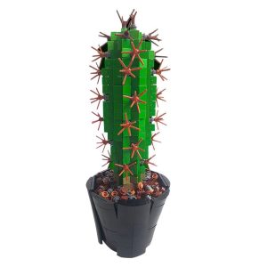 jeu de construction cactus