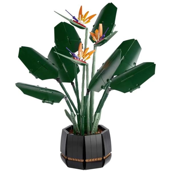 set de blocs de fleur du paradis