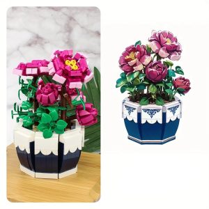 blocs de construction en forme de pivoine