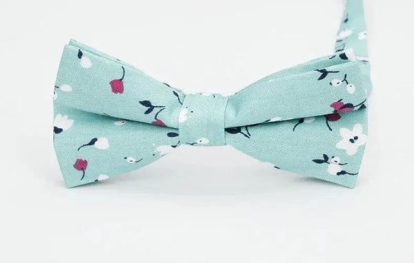 Noeud Papillon Fleuri Bleu Ciel Cartoon