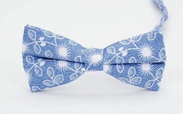 Noeud Papillon Fleuri Cartoon Bleu Classe