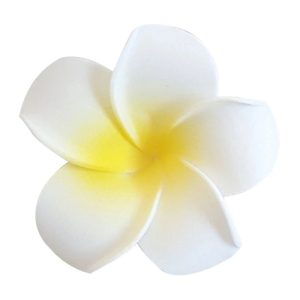 Pince Cheveux Fleur Blanche Hawaï