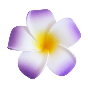 Pince Cheveux Fleur Hawaï