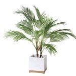 plante artificielle exotique minimaliste