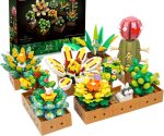 plante grasse en kit de construction