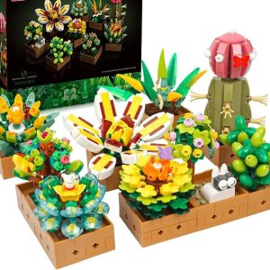 plante grasse en kit de construction