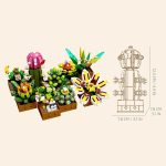 plante grasse bloc de construction