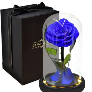 Rose Eternelle Bleue Avec Packaging