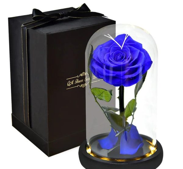 Rose Eternelle Bleue Avec Packaging