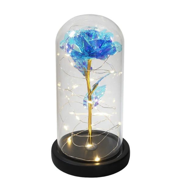 Rose Eternelle Bleue Sous Cloche