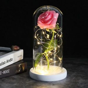Rose Eternelle Couleur Rose