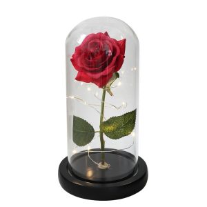 Rose Eternelle Epuré