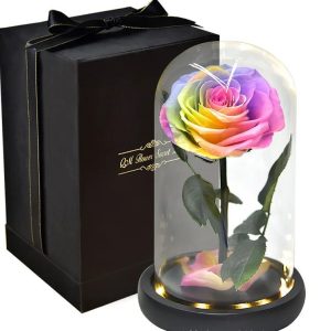 Rose Eternelle Multicolore Avec Packaging