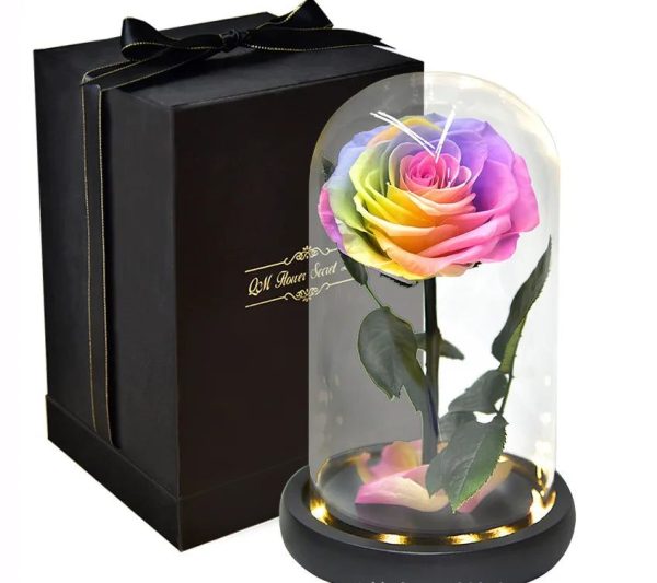 Rose Eternelle Multicolore Avec Packaging
