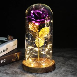Rose Eternelle Violette Sous Cloche
