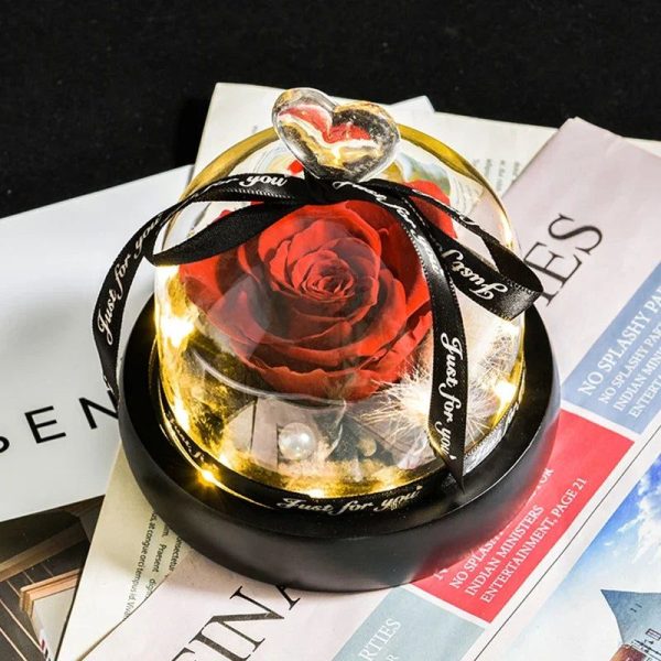 Rose Eternelle Saint Valentin