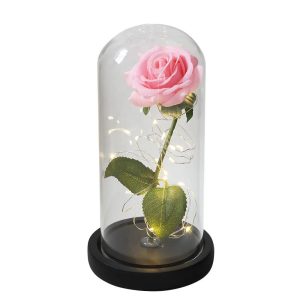 Rose Eternelle Simple