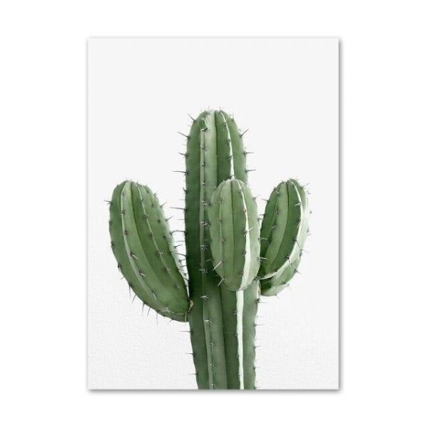 Tableau Fleur Cactus Minimaliste